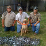 Dove Hunting Texas