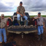 Dove Hunting Texas