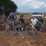 Dove Hunting Texas