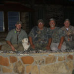 Dove Hunting Texas