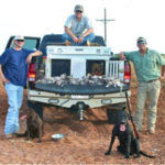 Bird Hunting Texas