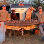 Bird Hunting Texas