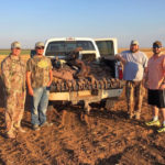 Duck hunting texas