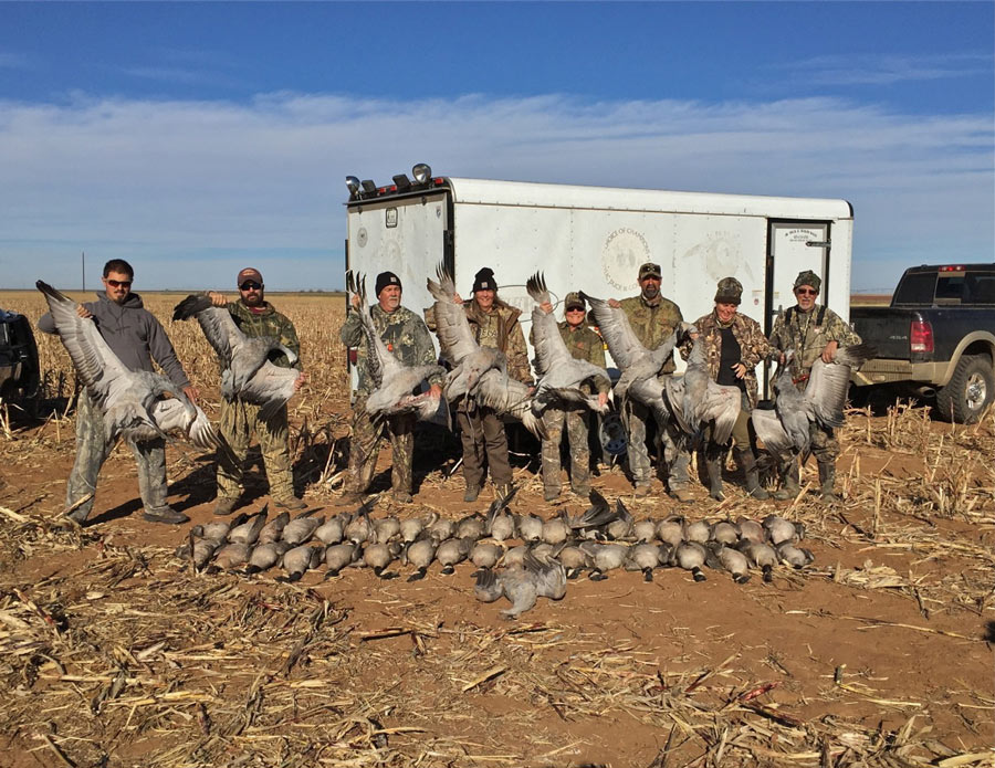 Best goose hunting in Texas Call 7138551015 today!