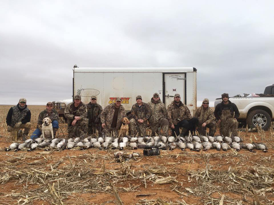 Best goose hunting in Texas Call 7138551015 today!