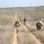 Bird Hunting Texas