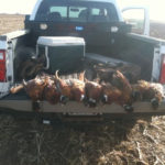 Turkey Hunting Texas