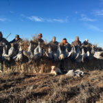 waterfowl hunting texas