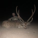night hunt deer