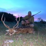 dusk spotted deer