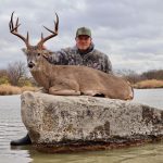 deer on rock