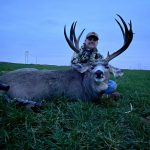 mule deer hunting photo