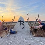 exotic hunts