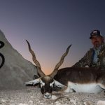 exotic hunt